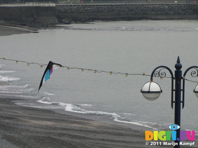 SX20359 Kite caught in lights by beach